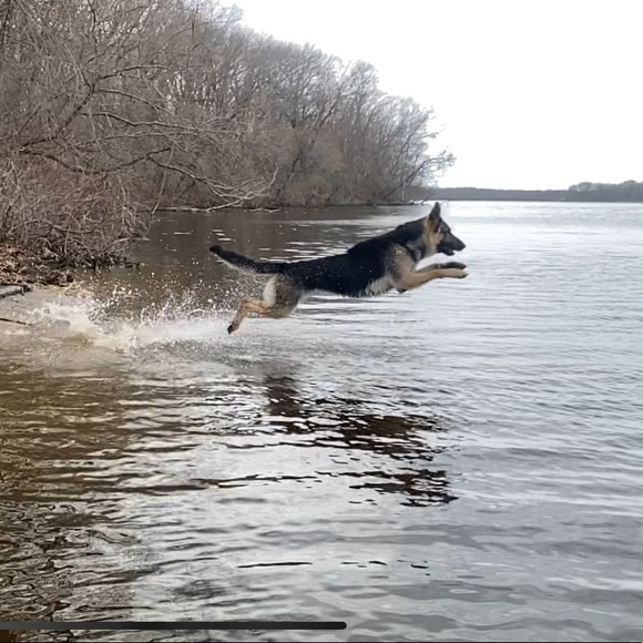 Meet your Posher, Rynni - Picture 1 of 1